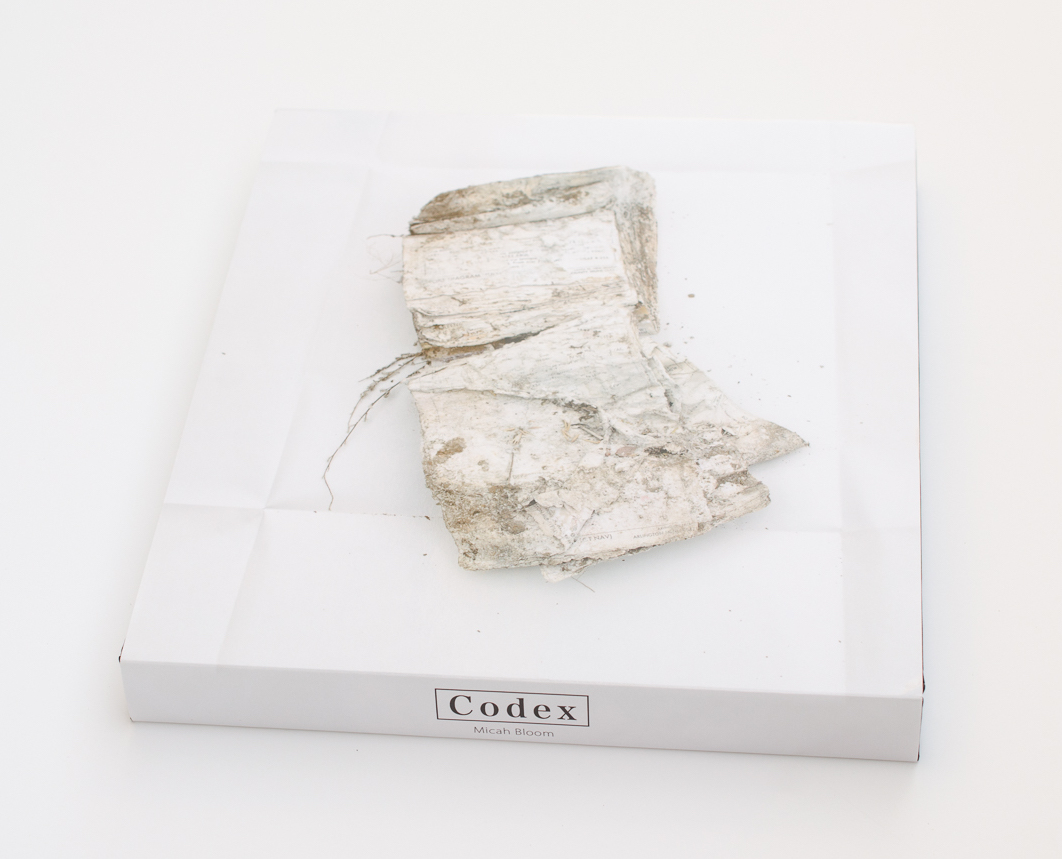 codex final large book-3